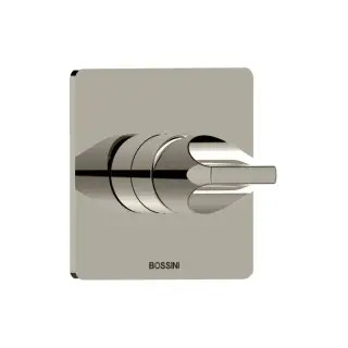 Bossini Apice Смеситель для душа, встраиваемый, цвет: брашированный никель
