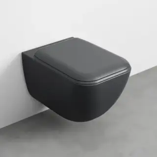 Комплект Унитаз подвесной RIMLESS+сиденье SHUI COMFORT