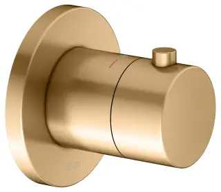 Keuco Ixmo Смеситель для душа термостатический, 1 потреб., встр., внеш. часть, цвет: латунь 59553 250001