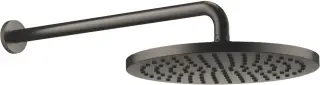 DornBracht Rounded generic Верхний душ, 30х60хh11,5 см, 30 см, 14 л/мин, цвет: серебро 28679970-99