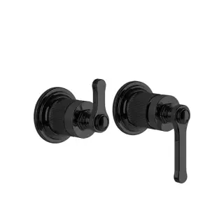 Gessi Venti20 Смеситель для ванны встраиваемый на 2 потребителя, внешняя часть, цвет: matte black 65038#299