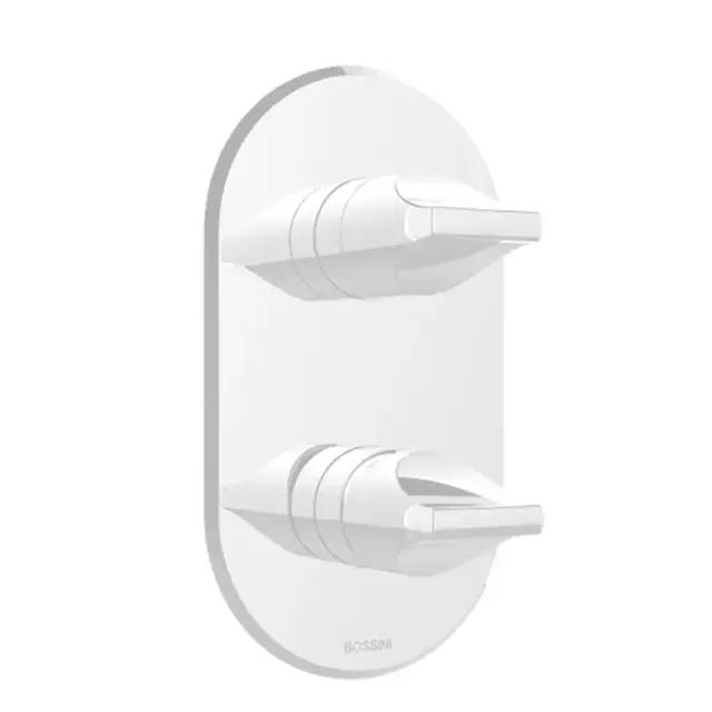 Bossini Apice Смеситель для душа, встраиваемый, однорычажный, с переключателем на 2-5 положений,  цвет: белый матовый