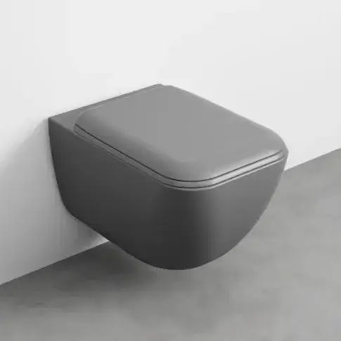 Комплект Унитаз подвесной RIMLESS+сиденье SHUI COMFORT