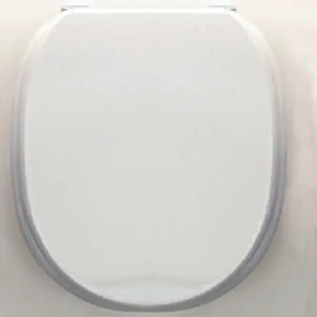 Devon&Devon Classica Сиденье для унитаза из MDF, цвет белый лакированный/петли хром, 3IBSEBIAWCLACR