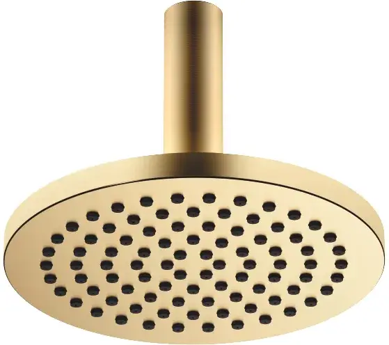 DornBracht Rounded generic Верхний душ, 22х22хh16,8 см, 22 см, 8,6 л/мин, цвет: латунь 28669970-28
