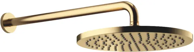 DornBracht Rounded generic Верхний душ, 30х60хh11,5 см, 30 см, 14 л/мин, цвет: латунь 28679970-28