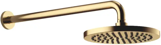 DornBracht Rounded generic Верхний душ, 22х56хh11,5 см, 22 см, цвет: латунь 28649970-28