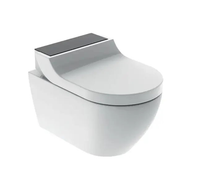 Geberit AquaClean Tuma Comfort Унитаз-биде подвесной безобод. с крышкой микролифт цвет: белый глянц. 146.294.SJ.1